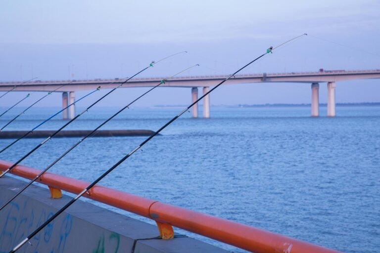 dynamic industry growth strategy